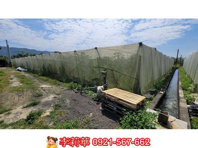 旗山農地-7
