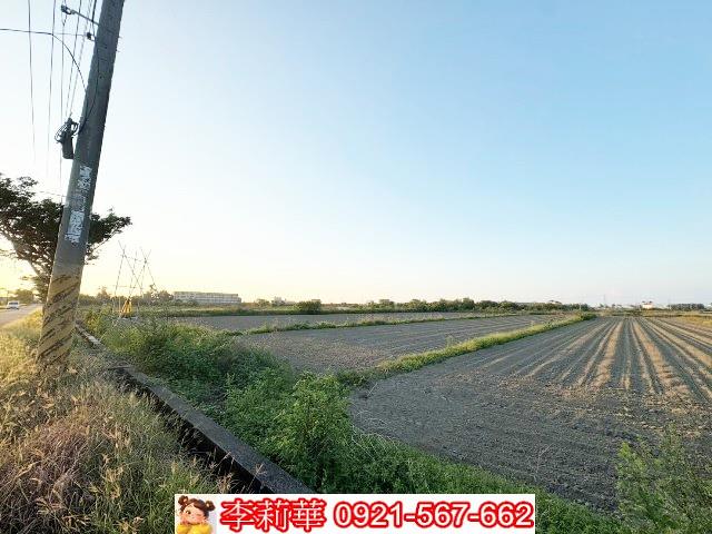 將軍農地-4