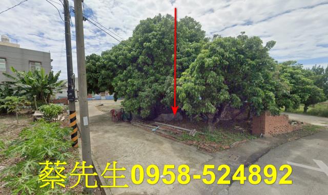 朴子南竹里乙建興建豪華住宅別墅