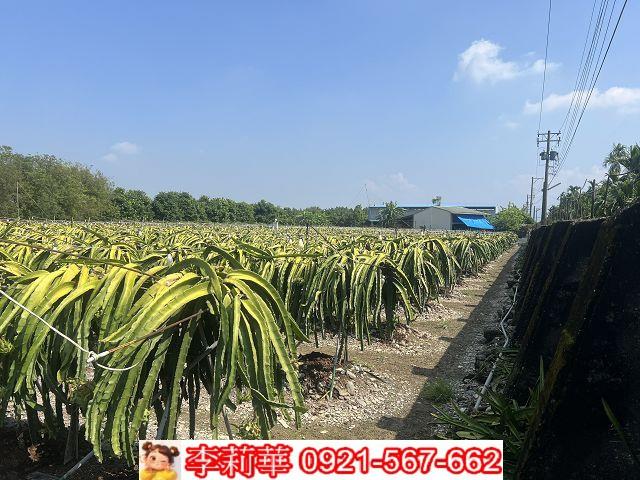屏東麟洛農地-9