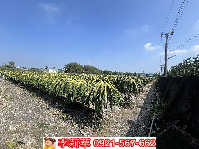 屏東麟洛農地-10