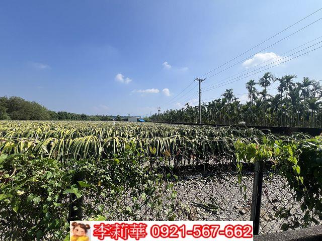 屏東麟洛農地-11