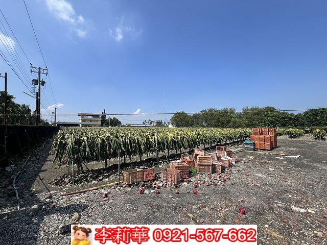 屏東麟洛農地-4
