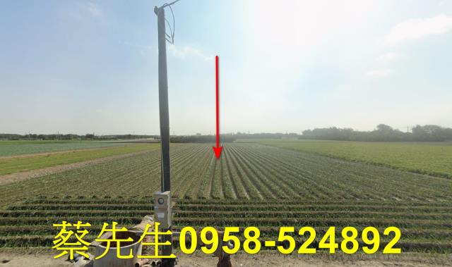 東勢下路利潭農舍地興建農舍種植農作物