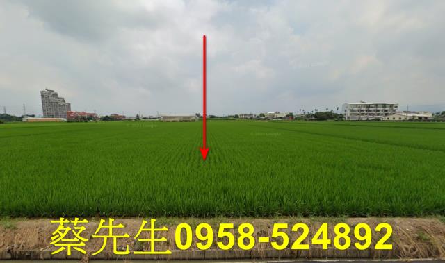 斗六久安西路農舍地興建農舍種植農作物