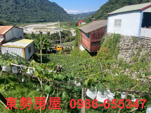 新社農地-9