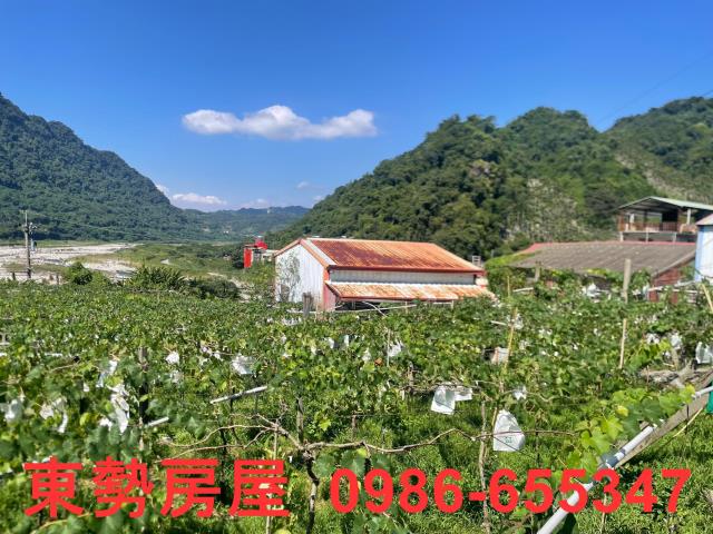 新社農地-0
