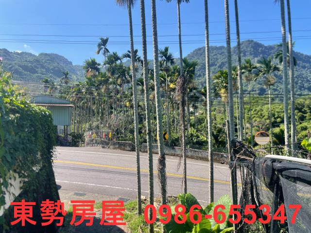 新社農地-2