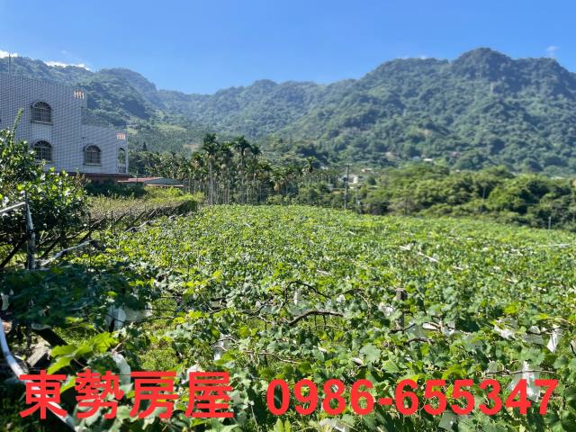 新社農地-4