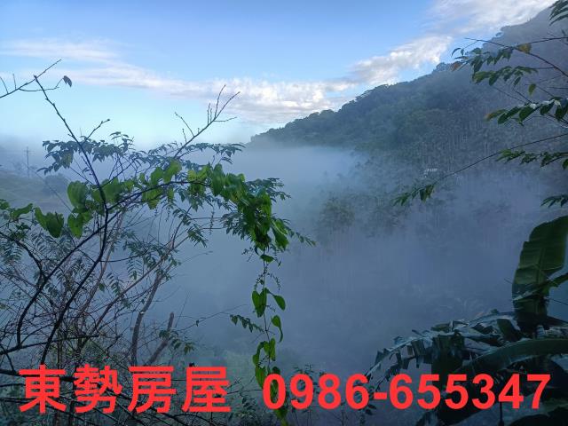 東勢農地-9