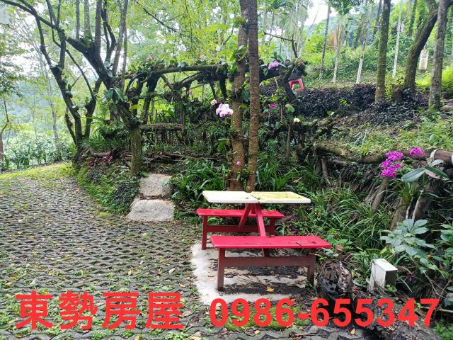 東勢農地-3