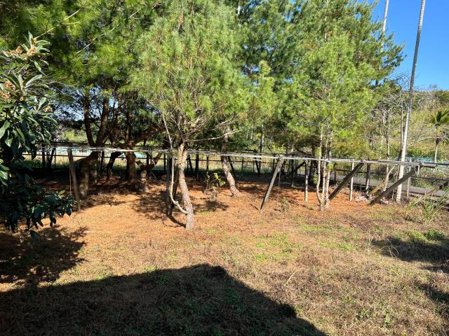 台中東勢農地-2