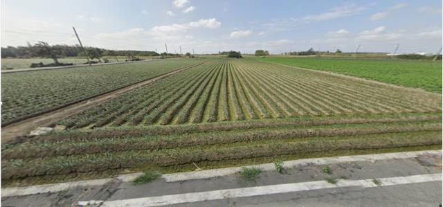 四湖法拍四湖農地四湖土地