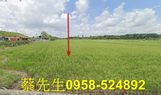 關廟關新路二段農舍地興建農舍種植農作物