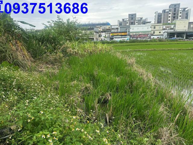 宜蘭宜蘭市道路地-9