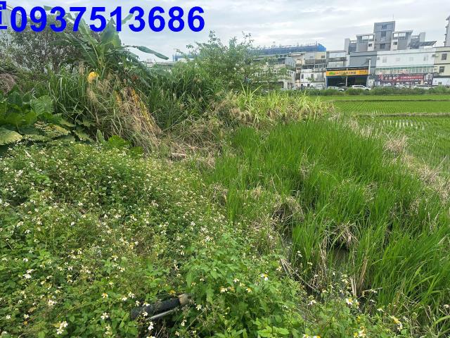 宜蘭宜蘭市道路地-13