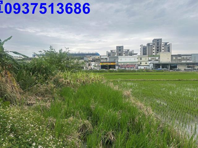 宜蘭宜蘭市道路地-14