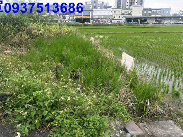 宜蘭宜蘭市道路地-2