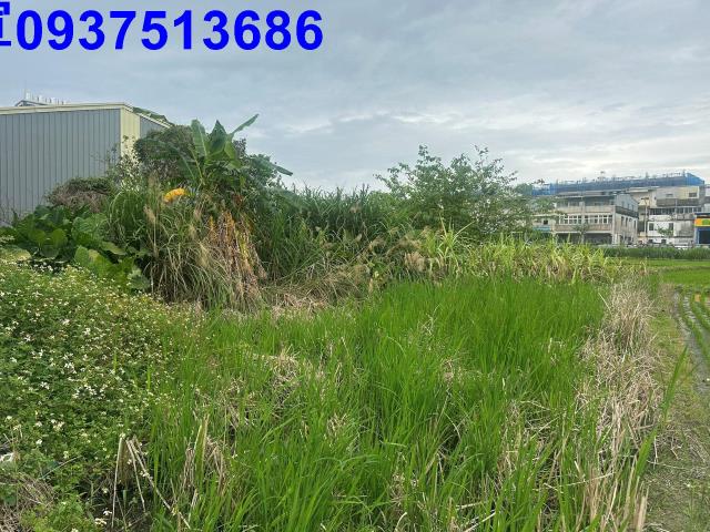 宜蘭宜蘭市道路地-6