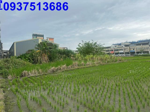 宜蘭宜蘭市道路地-7