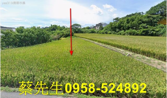 觀音中山路一段農保地可做農保可蓋資材室