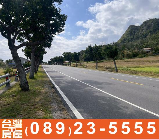 台東成功農地-4