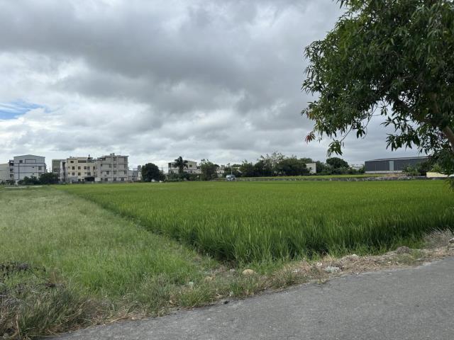 大雅農地-0