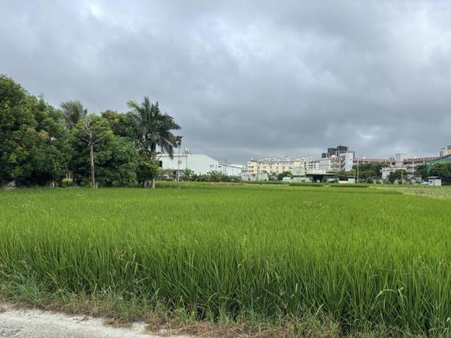 大雅農地-4