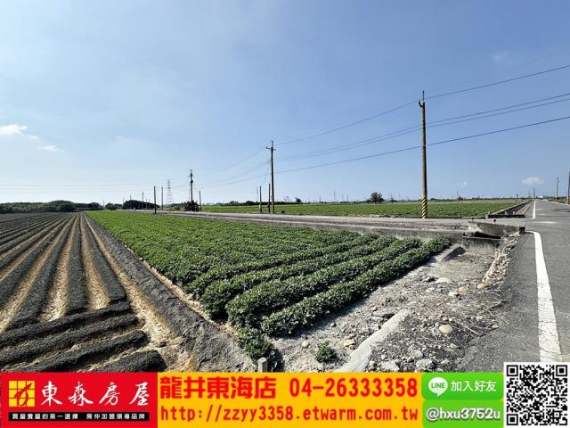 四湖農地-1