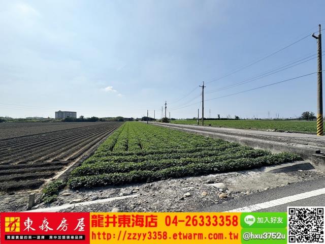 四湖農地-2