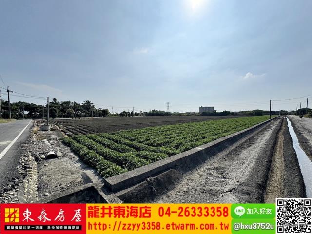 四湖農地-3