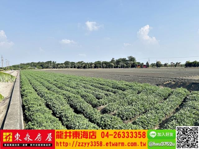 四湖農地-6