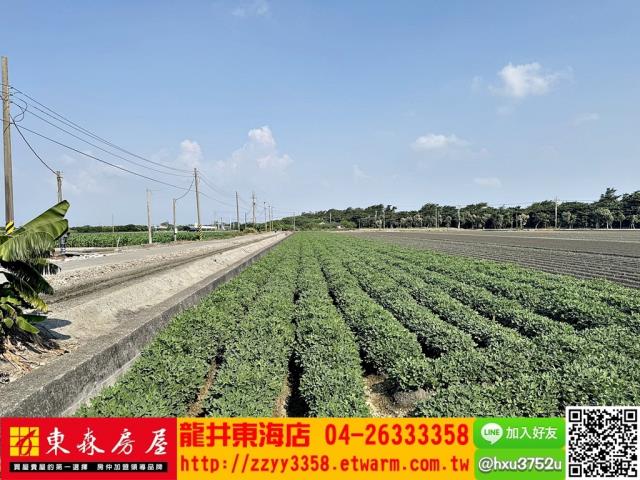 四湖農地-7