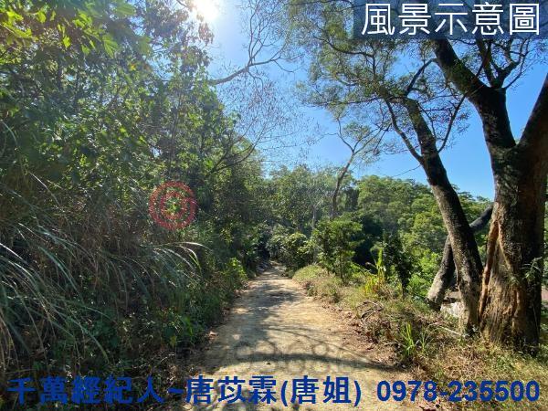 北區山坡地-10