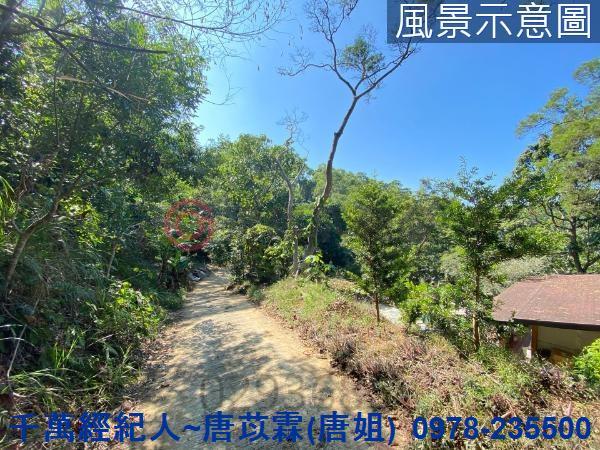 北區山坡地-11