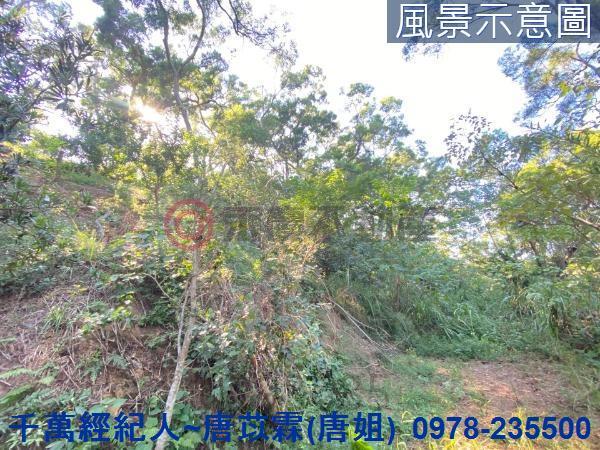 北區山坡地-3