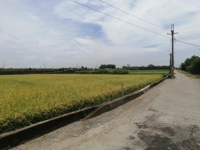 雲林斗南農地-6