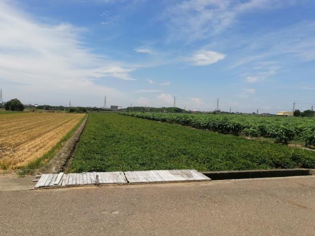 雲林斗南農地-2