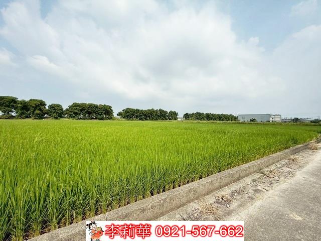 新營農地-9