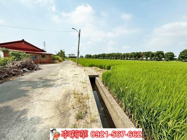 新營農地-0