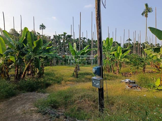 中埔農地-0