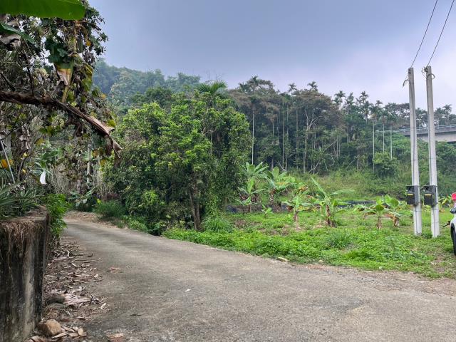 中寮農地-6