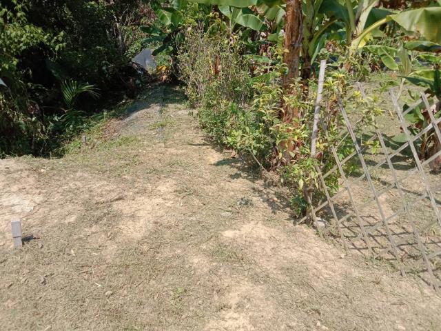 中寮農地-14