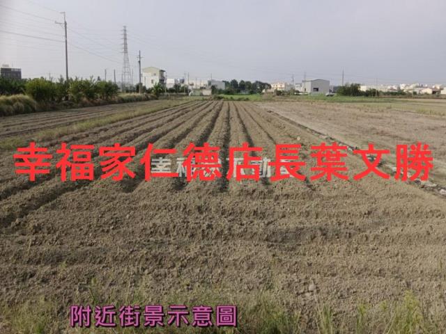 台南新市農地-3