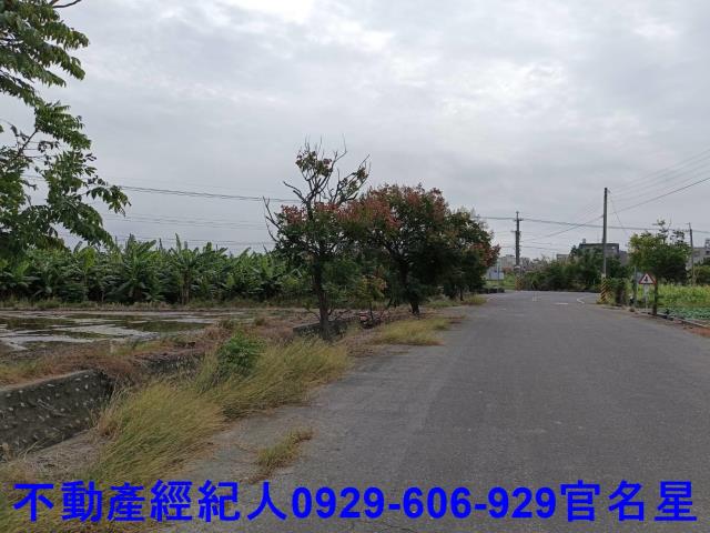 嘉義台積電故宮南院太保市嘉義高鐵站重劃