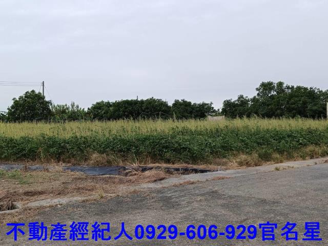 嘉義太保建地-1