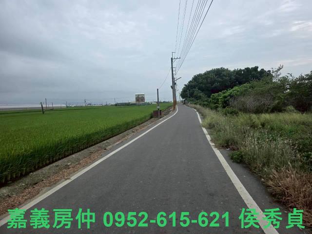 民雄農地-11