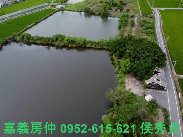 民雄農地-6