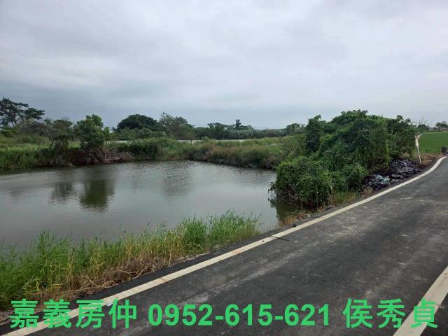 民雄農地-8