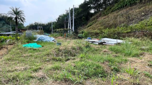 寶山農地-7